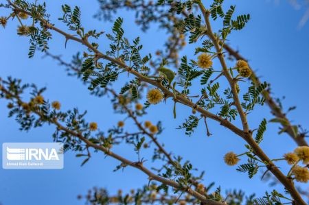 اخبار,انعکاس, تنگه چاهکوه قشم اخبار,انعکاس, تنگه چاهکوه قشم
