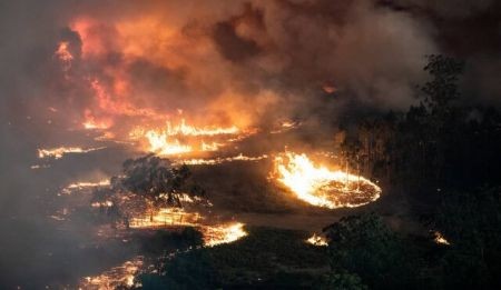 اخبار,اخبار حوادث,آتش سوزی در استرالیا