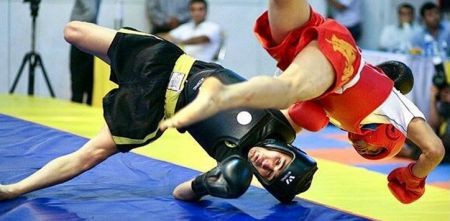 اخبار,اخبار ورزشی,ووشو در المپیک 2022