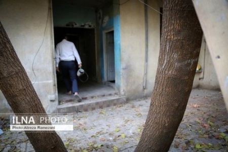 اخبارحوادث,خبرهای حوادث ,حوادث روز, پاکسازی پاتوق ها اخبارحوادث,خبرهای حوادث ,حوادث روز, پاکسازی پاتوق ها