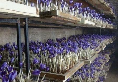 اخباراقتصادی ,خبرهای اقتصادی , اخباراقتصادی ,خبرهای اقتصادی,