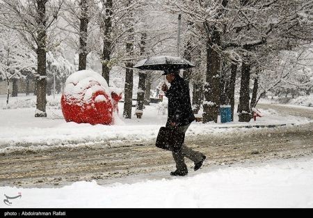  اخبار اجتماعی ,خبرهای اجتماعی,هواشناسی