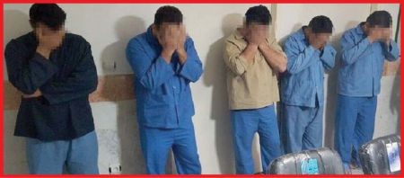 اخبارسیاسی ,خبرهای سیاسی , دزدان حرفه ای اخبارسیاسی ,خبرهای سیاسی , دزدان حرفه ای
