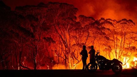  اخبار علمی ,خبرهای علمی,آتش سوزی جنگل ها
