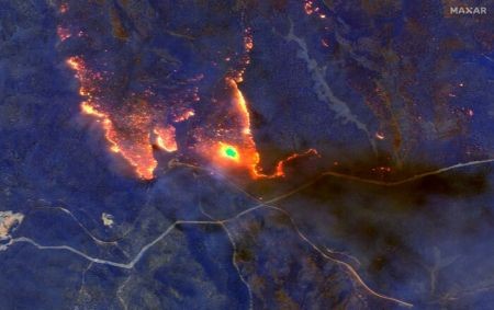 اخبار علمی,خبرهای علمی ,آتش سوزی جنگل ها اخبار علمی ,خبرهای علمی,آتش سوزی جنگل ها