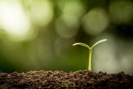 اخبار پزشکی ,خبرهای پزشکی , حسگر جدید اخبار پزشکی ,خبرهای پزشکی, حسگر جدید