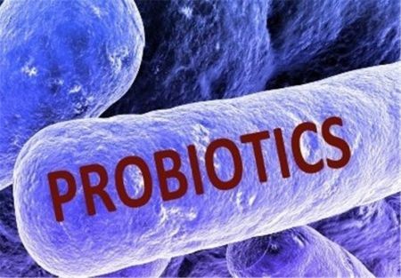 اخبار پزشکی ,خبرهای پزشکی ,پروبیوتیکها اخبار پزشکی ,خبرهای پزشکی,پروبیوتیکها