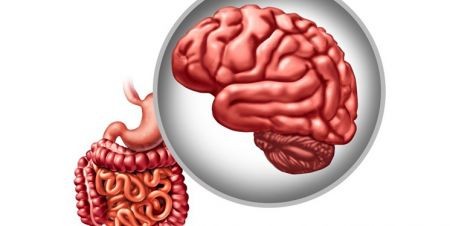 اخبار پزشکی ,خبرهای پزشکی ,باکتری روده اخبار پزشکی ,خبرهای پزشکی,باکتری روده