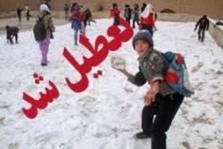 اخباراجتماعی ,خبرهای اجتماعی ,تعطیلی مدارس اخبار اجتماعی ,خبرهای اجتماعی,تعطیلی مدارس