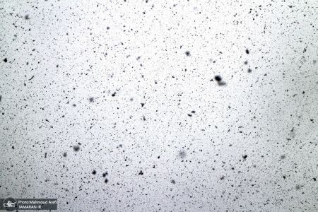 اخباراقتصادی ,خبرهای اقتصادی , بارش برف در تهران اخباراقتصادی ,خبرهای اقتصادی, بارش برف در تهران