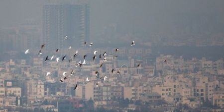اخباراجتماعی ,خبرهای اجتماعی , آلودگی هوا اخبار اجتماعی ,خبرهای اجتماعی, آلودگی هوا