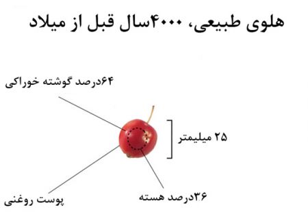  اخبارگوناگون,خبرهای گوناگون ,میوه‌ها و سبزیجات