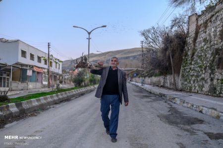 اخبار,اخبار گوناگون,شهرباستانی حسن کیف اخبار,اخبار گوناگون,شهرباستانی حسن کیف