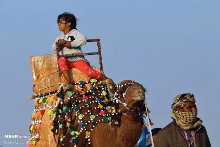 اخبار,اخبار گوناگون,جزیره ناز اخبار,اخبار گوناگون,جزیره ناز