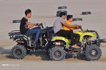 اخبار,اخبار گوناگون,جزیره ناز اخبار,اخبار گوناگون,جزیره ناز