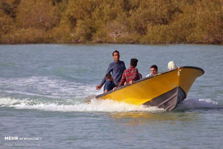 اخبار,انعکاس,جنگل حرا روستای سهیلی