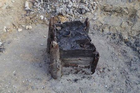 اخبار,اخبارگوناگون,سازه چوبی اخبار,اخبارگوناگون,سازه چوبی