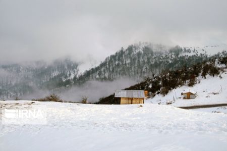 اخبار,انعکاس,طبیعت زمستانی جنگل‌های هیرکانی