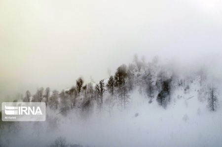 اخبار,انعکاس,طبیعت زمستانی جنگلهای هیرکانی اخبار,انعکاس,طبیعت زمستانی جنگلهای هیرکانی