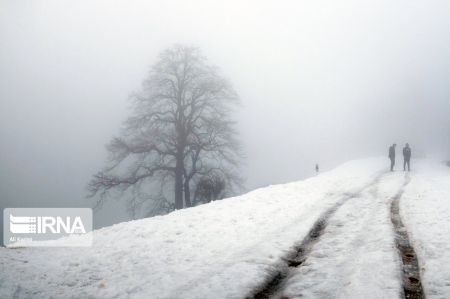 اخبار,انعکاس,طبیعت زمستانی جنگل‌های هیرکانی