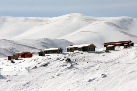 اخبار,انعکاس,طبیعت زمستانی جنگل‌های هیرکانی