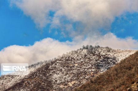 اخبار,انعکاس,طبیعت زمستانی جنگل‌های هیرکانی