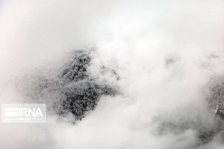 اخبار,انعکاس,طبیعت زمستانی جنگلهای هیرکانی اخبار,انعکاس,طبیعت زمستانی جنگلهای هیرکانی