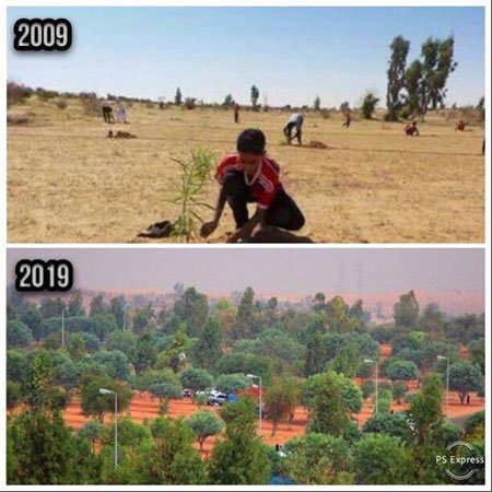 اخبار,اخبار گوناگون,مقایسه‌هایی جالب که نتایجی جالبتر را نشان می‌دهند!