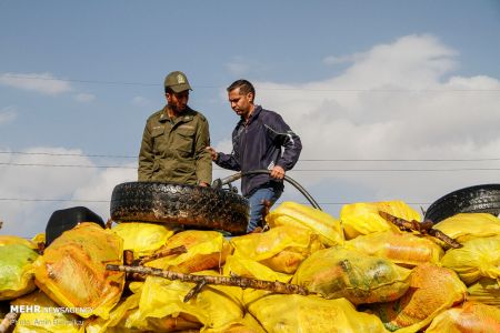 اخبار,اخبار حوادث,امحاموادمخدر