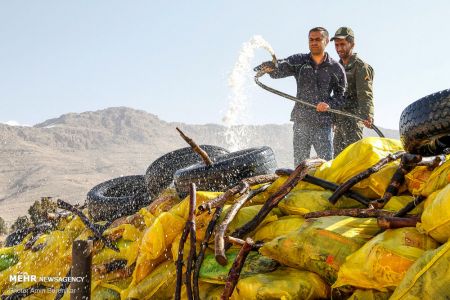 اخبار,اخبار حوادث,امحاموادمخدر