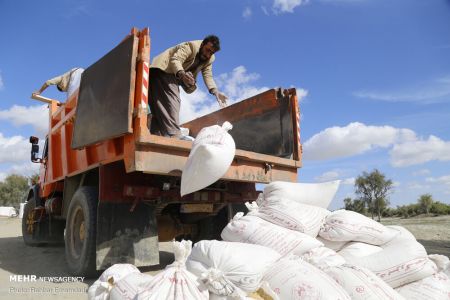 اخبار,عکس خبری,آخرین وضعیت مناطق سیل زده جاسک اخبار,عکس خبری,آخرین وضعیت مناطق سیل زده جاسک