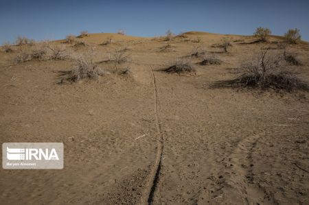 اخبار,اخبار اجتماعی,باورهای غلط درمانی سنتی در جنوب کرمان اخبار,اخبار اجتماعی,باورهای غلط درمانی سنتی در جنوب کرمان