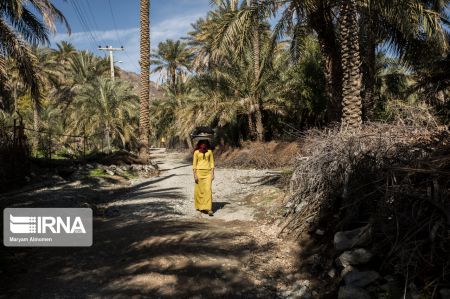 اخبار,اخبار اجتماعی,باورهای غلط درمانی سنتی در جنوب کرمان اخبار,اخبار اجتماعی,باورهای غلط درمانی سنتی در جنوب کرمان