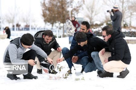 اخبار,عکس خبری,جشنواره آدم برفی و تیوب سواری در همدان