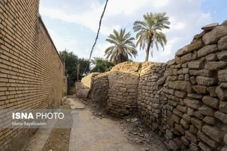 اخبار,اخبار گوناگون,تخریب شارع الشیوخ اخبار,اخبار گوناگون,تخریب شارع الشیوخ