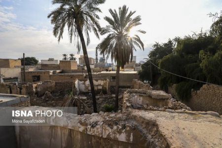 اخبار,اخبار گوناگون,تخریب شارع الشیوخ اخبار,اخبار گوناگون,تخریب شارع الشیوخ