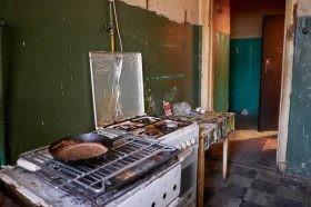 اخبار,اخبار حوادث,جنایت هولناک برای گربه خانگی اخبار,اخبار حوادث,جنایت هولناک برای گربه خانگی