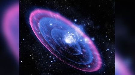 اخبار,اخبار علمی وآموزشی,عجیبترین تحولات علمی هفته اخیر اخبار,اخبار علمی وآموزشی,عجیبترین تحولات علمی هفته اخیر