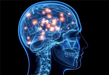 اخبار,اخبار پزشکی,سیستم تحریک عمقی غیرتهاجمی مغز با جریان الکتریکی تداخلی اخبار,اخبار پزشکی,سیستم تحریک عمقی غیرتهاجمی مغز با جریان الکتریکی تداخلی
