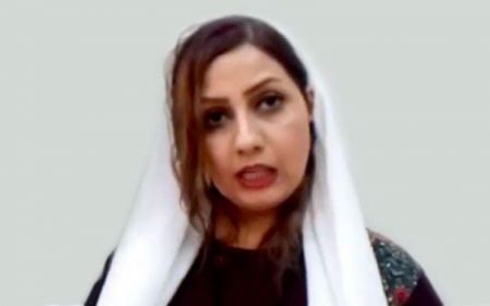 اخبار,اخبار سیاسی,نرگس منصوری اخبار,اخبار سیاسی,نرگس منصوری