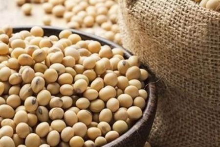 اخبار پزشکی ,خبرهای پزشکی ,سویا اخبار پزشکی ,خبرهای پزشکی,سویا