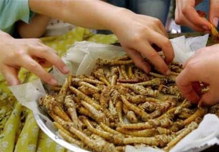 اخبار پزشکی ,خبرهای پزشکی ,ویروس کرونا اخبار پزشکی ,خبرهای پزشکی,ویروس کرونا