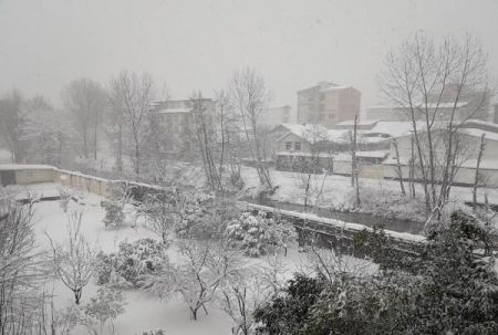 اخباراجتماعی ,خبرهای اجتماعی ,سازمان اورژانس کشور اخبار اجتماعی ,خبرهای اجتماعی,سازمان اورژانس کشور