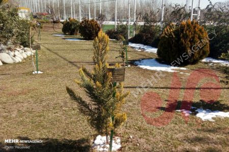 اخبارورزشی ,خبرهای ورزشی ,ویلموتس اخبار ورزشی ,خبرهای ورزشی ,ویلموتس