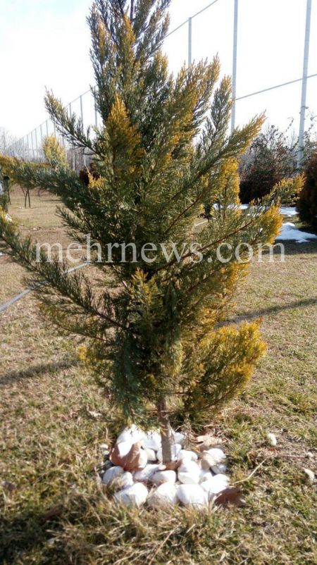 اخبارورزشی ,خبرهای ورزشی ,ویلموتس اخبار ورزشی ,خبرهای ورزشی ,ویلموتس