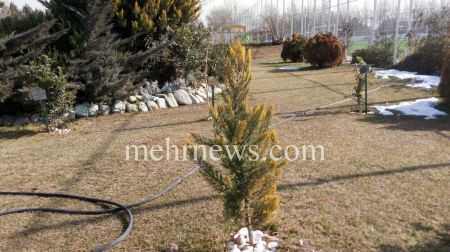 اخبارورزشی ,خبرهای ورزشی ,ویلموتس اخبار ورزشی ,خبرهای ورزشی ,ویلموتس