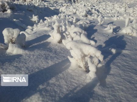 اخباراجتماعی ,خبرهای اجتماعی ,هواشناسی اخبار اجتماعی ,خبرهای اجتماعی,هواشناسی