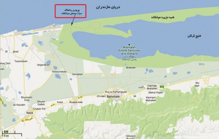اخباراجتماعی ,خبرهای اجتماعی ,مرگ پرندگان اخبار اجتماعی ,خبرهای اجتماعی,مرگ پرندگان