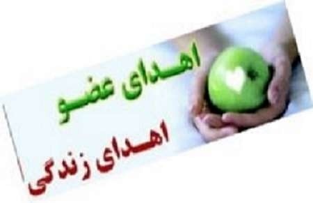 اخباراجتماعی ,خبرهای اجتماعی , طرح معافیت از سربازی اخبار اجتماعی ,خبرهای اجتماعی, طرح معافیت از سربازی