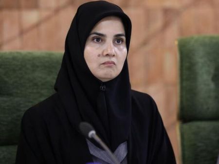  اخبارسیاسی ,خبرهای سیاسی ,معاون حقوقی روحانی